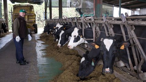 La calidad del ganado de una granja de Lousame séptima en el ránking