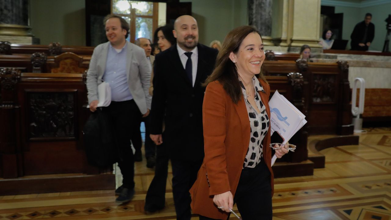 Aprobada En El Pleno De A Coru A La Ordenanza Reguladora De La