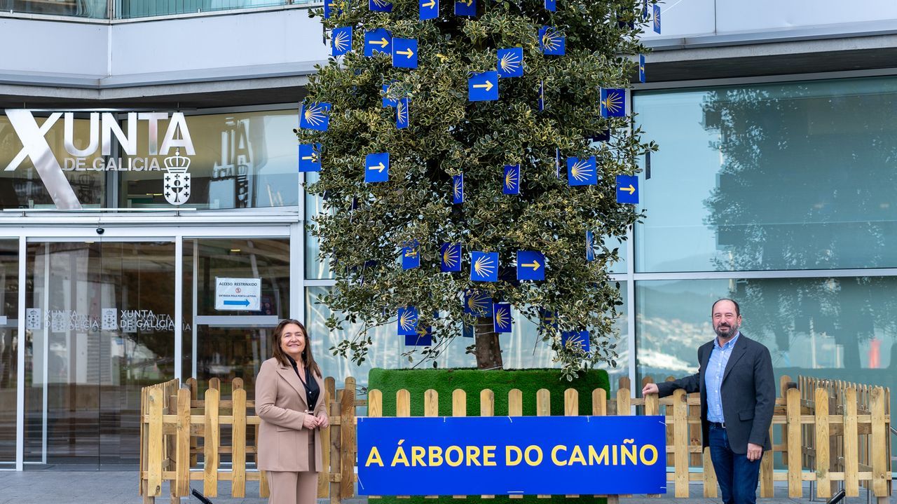 La Xunta Reivindica El Camino En La Navidad De Vigo