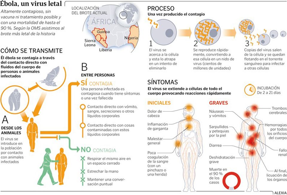 ¿Cómo puede prevenir el vómito?
