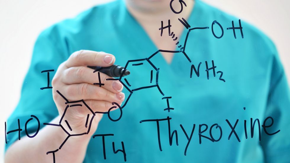 acelerar metabolismo basal lento acelerar metabolismo basal lento