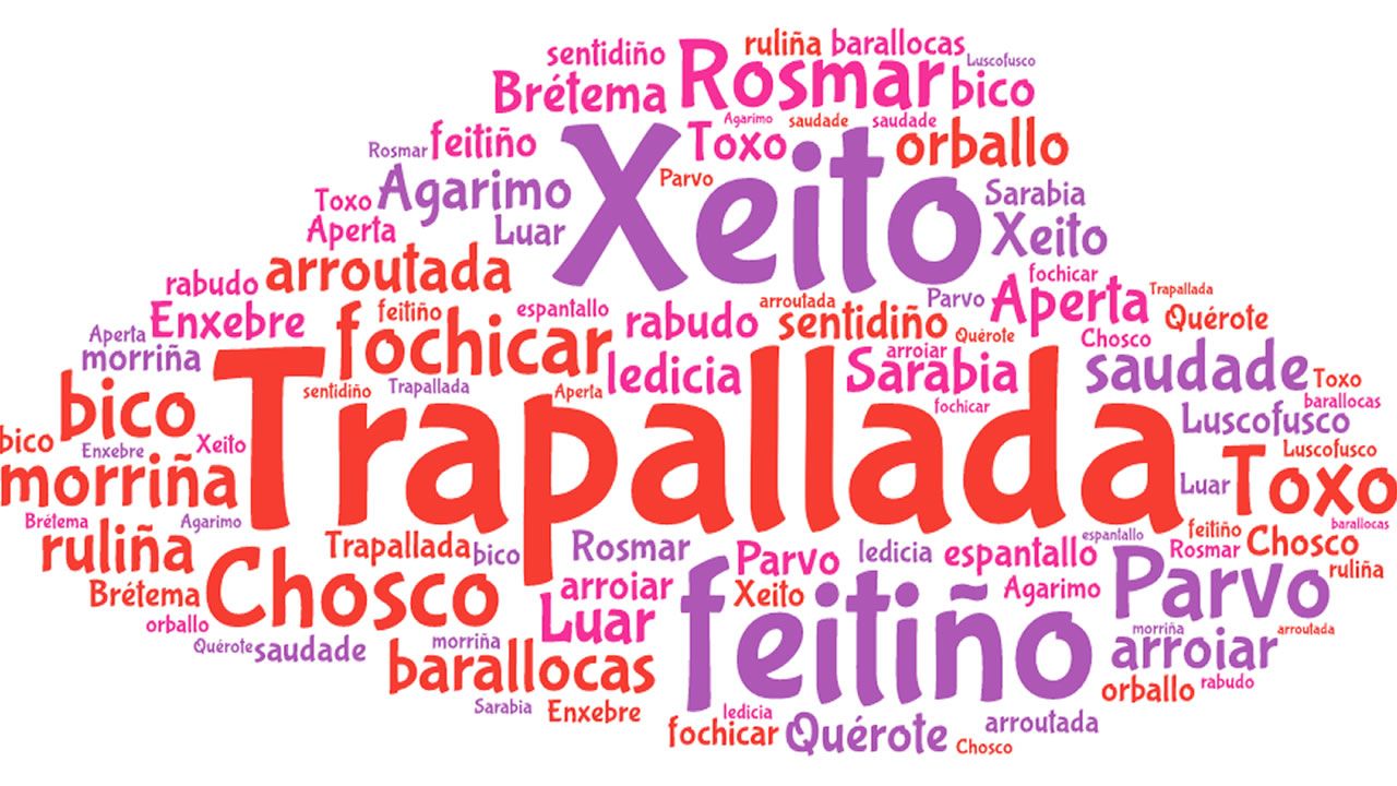 Resultado de imaxes para imagen con muchas palabras en gallego