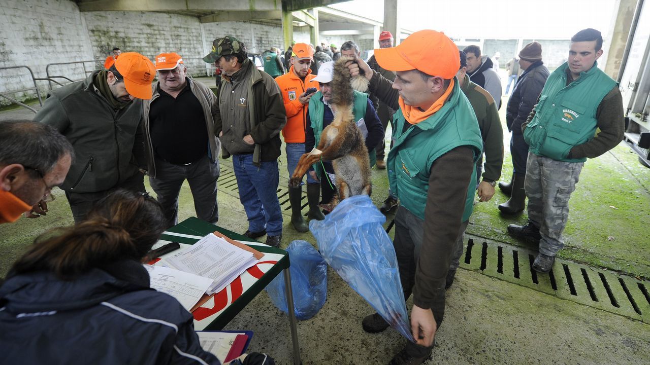 La Voz de Galicia. Temas Socade selecciona personal para atender el centro hípico de
