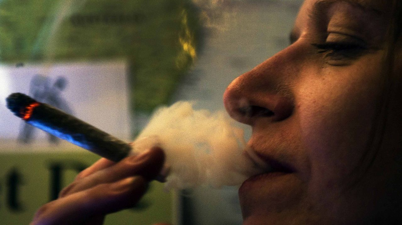 Holanda lucha contra las mafias de la droga