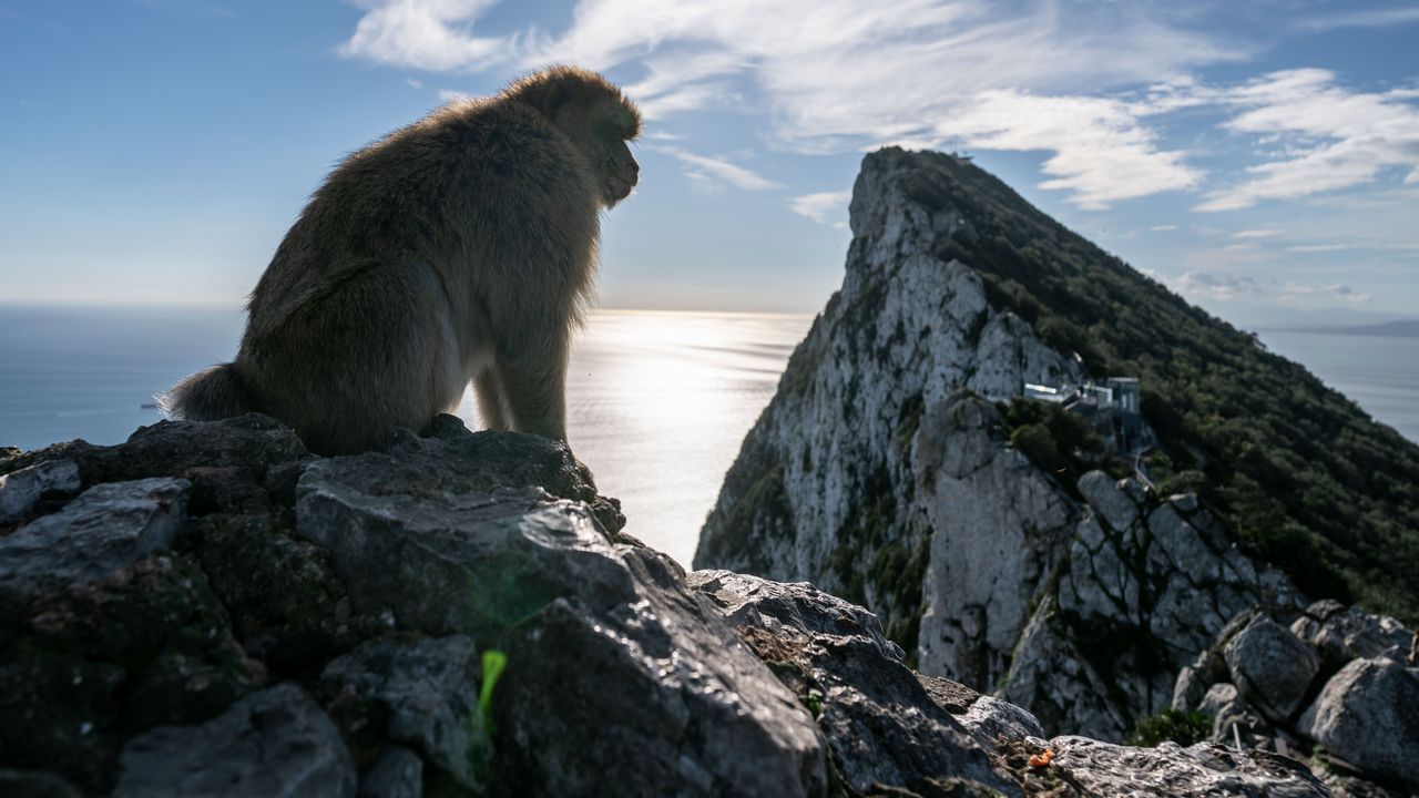 Una disputa de tres siglos: Gibraltar, el contencioso que siempre ...