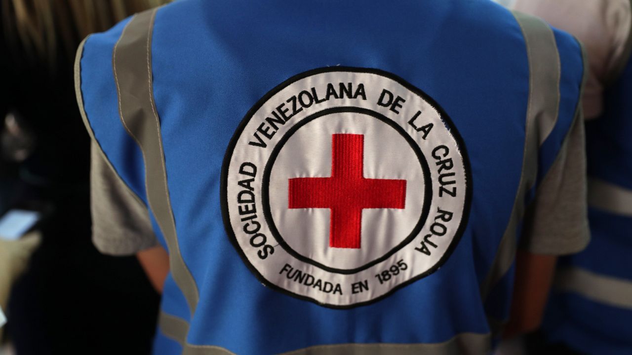 Cruz Roja Internacional logra introducir en Venezuela ayuda para 650.000 personas