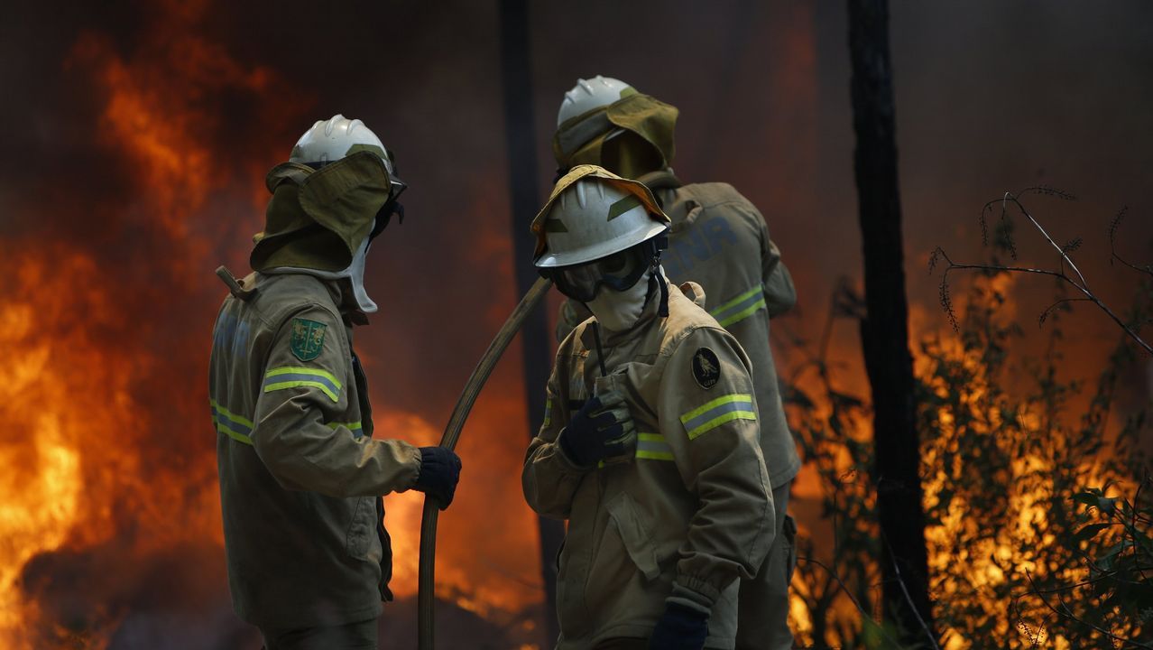 Si Eres Calvo O Tienes Caries No Puedes Ser Bombero En Portugal