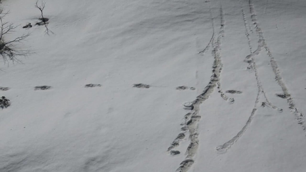 Las misteriosas huellas del Yeti que ha encontrado el Ejército indio
