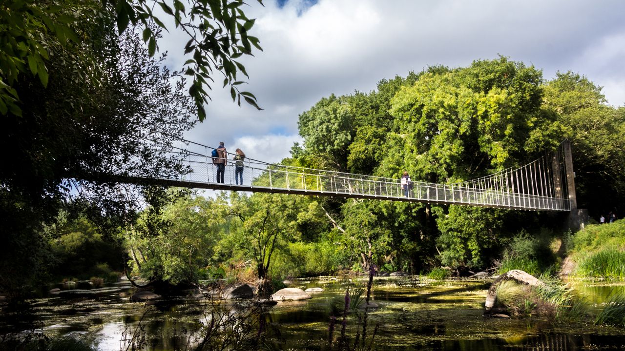 Ocho visitas imprescindibles en Outeiro de Rei