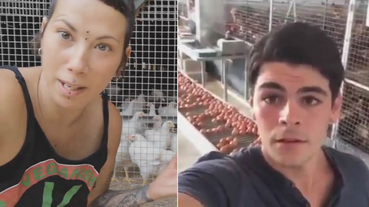 El Joven Avicultor Que Retrata A Las Veganas De Las 