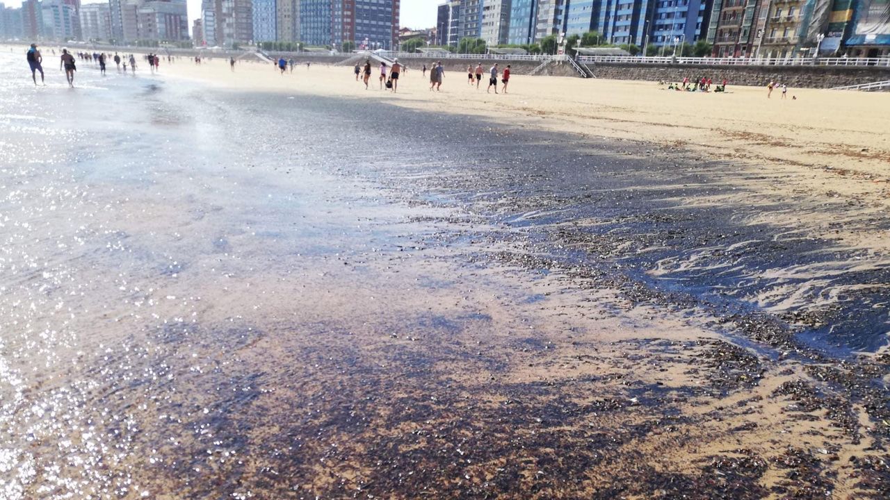 El Carbon Que Mancha La Playa De San Lorenzo Un Nuevo Estudio Rompe Topicos Y Halla Al Culpable