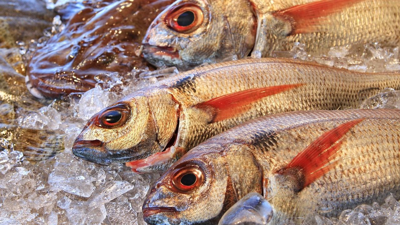 Los Pescados Típicos De Navidad Arrancan Fuerte Su Escalada Dejando Rezagados A Los Mariscos