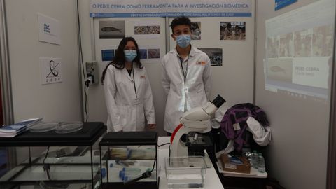 Estudiantes del Policlínico de Lugo, investigaron sobre el pez cebra y sus usos en la investigación biomédica