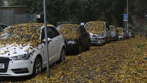 El campus sur, plagado de árboles, obliga a poner los limpias a los conductores en otoño.