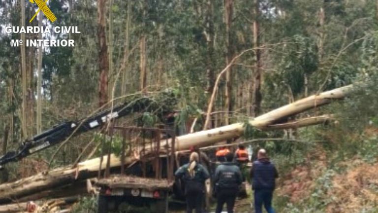 Muere un hombre de 56 años en Soutomaior al caerle encima el árbol que talaba