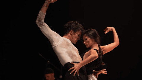 La pareja en el escenario de Danza