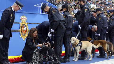 La alcaldesa de A Coruña, Inés Rey, condecora este miércoles a uno de los perros de la Unidad Canina de la Policía Nacional.