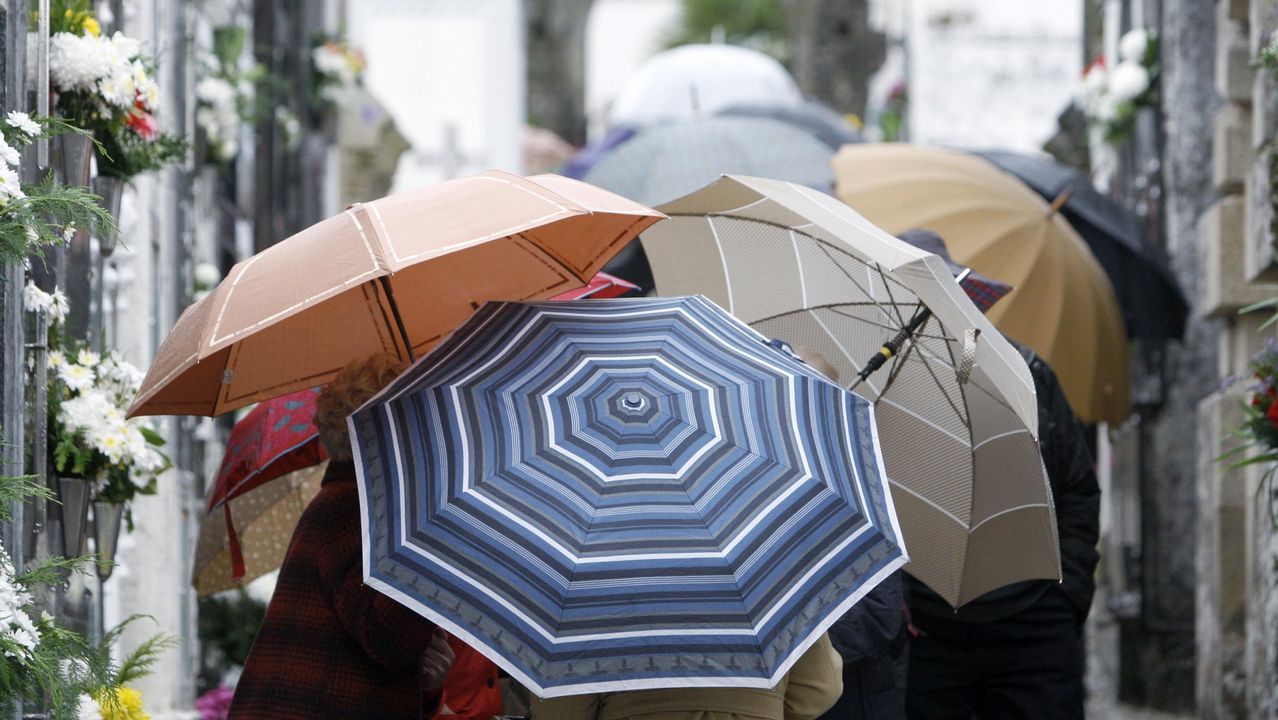 Qu tiempo har este puente?