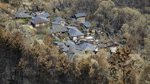 Castaños quemados en el souto que rodea la aldea de Vilar, en una imagen de archivo