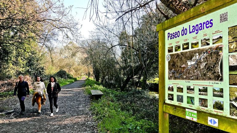 Motoristas de policía rastrean la senda del Lagares en busca de un abuelo que se cayó