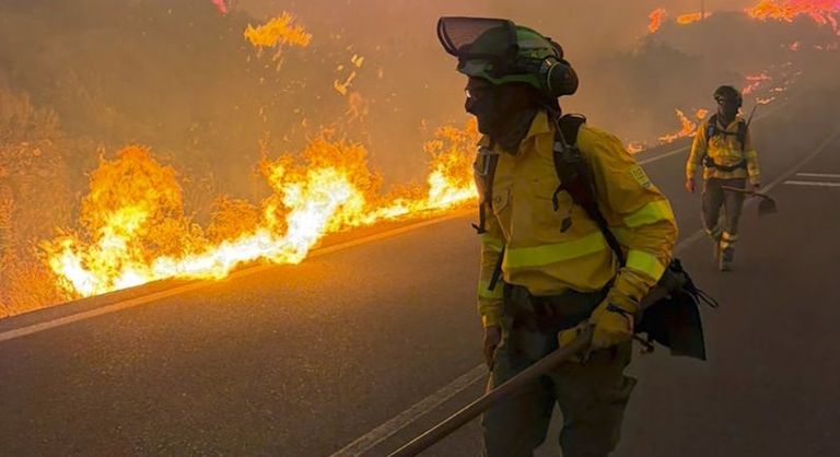 Seis personas mueren en el incendio forestal de Los Gallardos, en Almería