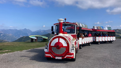 El tren tur�stico de Aller