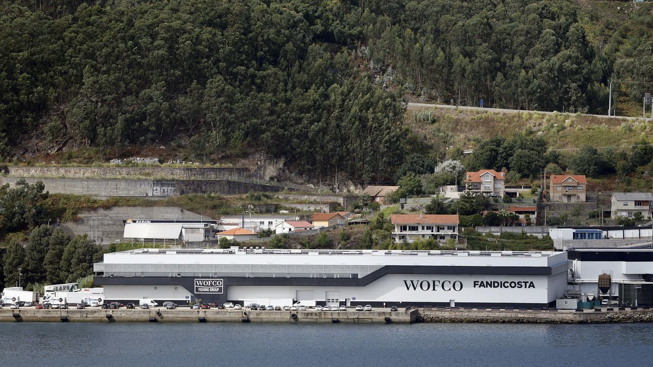 Dos trabajadores heridos al implosionar un silo de aceite de palma en el puerto de Vigo que dejó un vertido.Xosé Manuel Puga, Bernardo Varela y María Mangana.