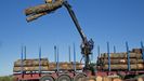 La empresa de Baldomero Fernández tramita unas 1.500 toneladas de madera cada mes