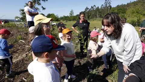 actividade voz natura: plantacion rboles con alumnos do CRA de rianxo, EN EL LUGAR DE A ERMIDA EN BUIA, ARAO