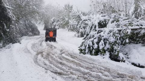 Los voluntarios de Pola de Lena ayudando a retirar los rboles cados por la nevada