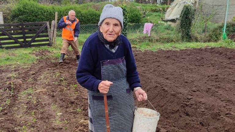 Uns días antes de cumprir 104 anos, Juliana axudou a botar as patacas na Cancela