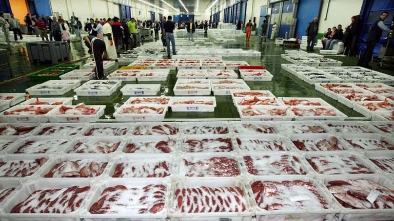 Revocan la incapacidad que un juez concedió a un mayorista de pescado de O Berbés