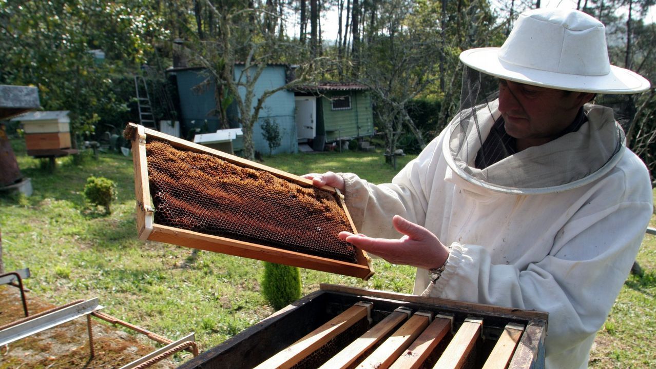 El pato criollo que vigilaba el �paseo del colesterol�