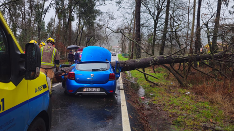La joven&nbsp;qued� encajada entre el tronco y el volante