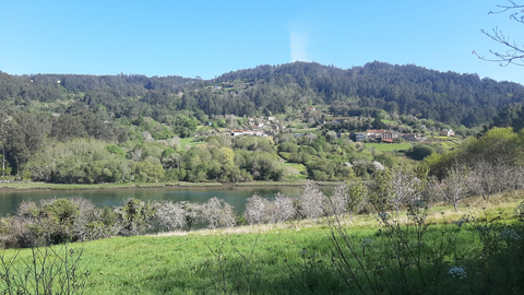 Valle de cerezos floridos y vistas al río Eume