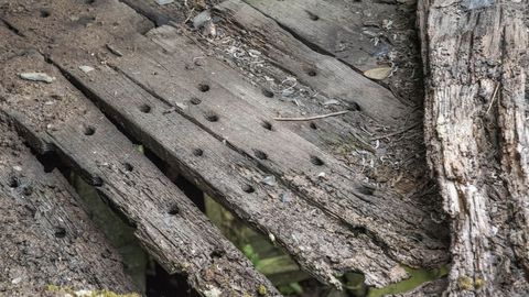 Tablas de un canizo, la plataforma donde se ponen a secar las castañas, en uno de los sequeiros abandonados