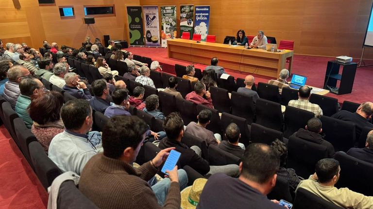 Pontevedra exalta el cultivo del aguacate en Galicia