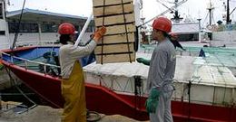 La pesca constituye una importante bolsa de empleo para los trabajadores extranjeros
