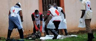 Miembros de la Cruz Roja retiraban ayer los cadveres diseminados por las calles de Bangui, donde continan las matanzas.