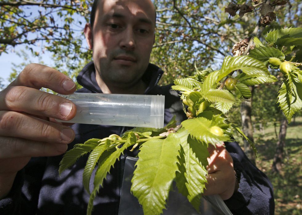 Emotivo homenaje de los alumnos del Xograr de Sarria a su compa�ero fallecido en accidente de tr�fico
