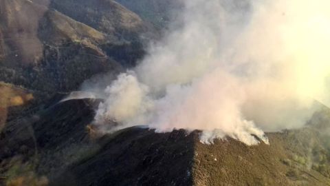 Incendio forestal en Pilo�a