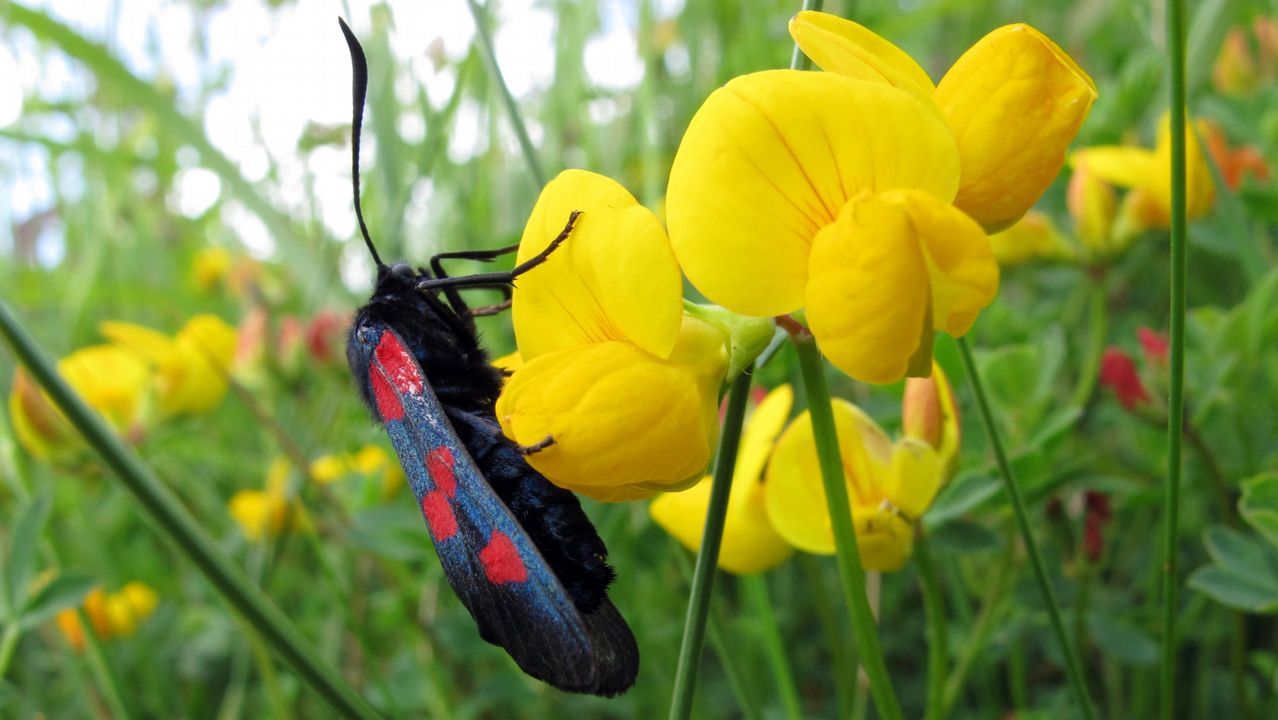 Bardem en la Ant�rtida