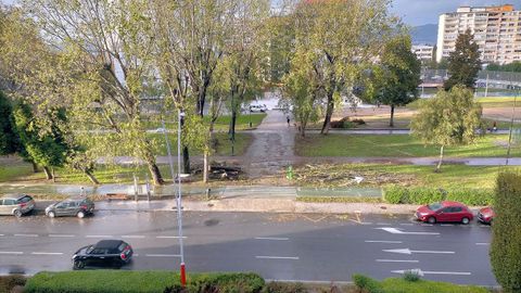 Vista del tramo de la avenida de Castelao en una imagen tomada el 2 de noviembre, antes del inicio de la tala. 