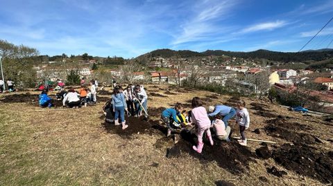 Escolares de Ponte Caldelas plantando rboles en el monte comunal de Cuas