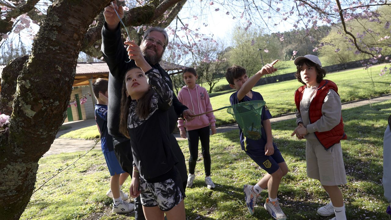 Estado deplorable del Souto da Retorta.El alumnado de cuarto de primaria recogi� residuos en el cauce fluvial y aprovech� la la jornada para estudiar la flora y la fauna del entorno
