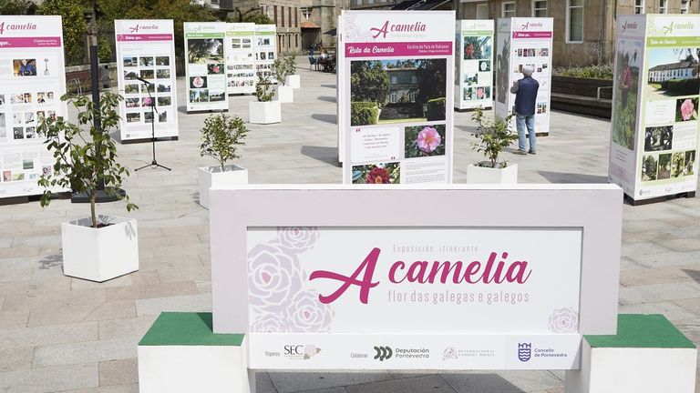 Pontevedra pone el broche a los actos por los 25 años de la Sociedad Española de la Camelia