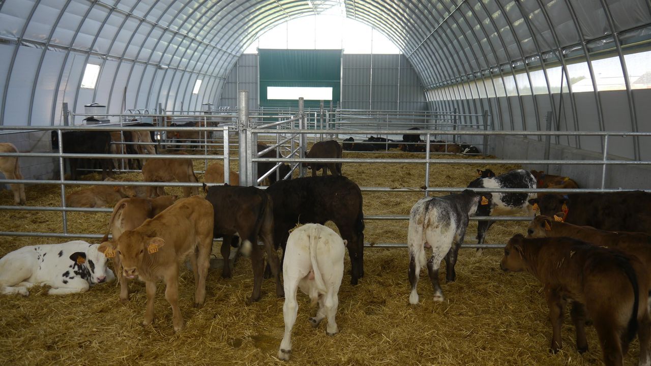 Nave de usos ganaderos construida con hierro y con lona