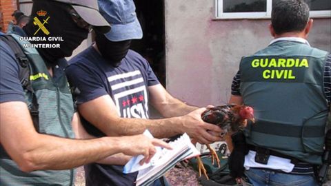 Imagen de archivo de una operación policial contra las peleas de gallos