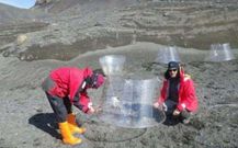 Los investigadores de la Universidad viguesa desarrollan un proyecto sobre algas en la isla Decepcin. 