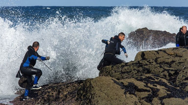 Los 260 percebeiros de la Costa da Morte se quedan solos en la defensa del crustáceo